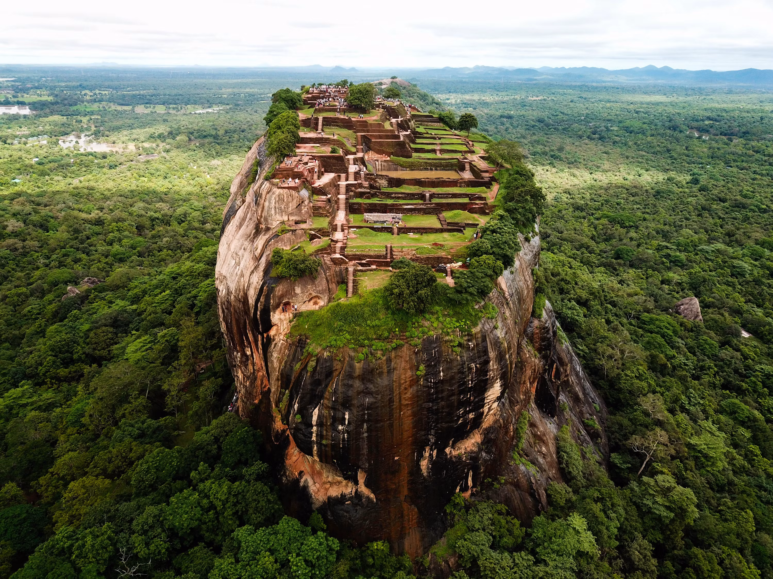Sigiriya rock fortress surrounded by green forest